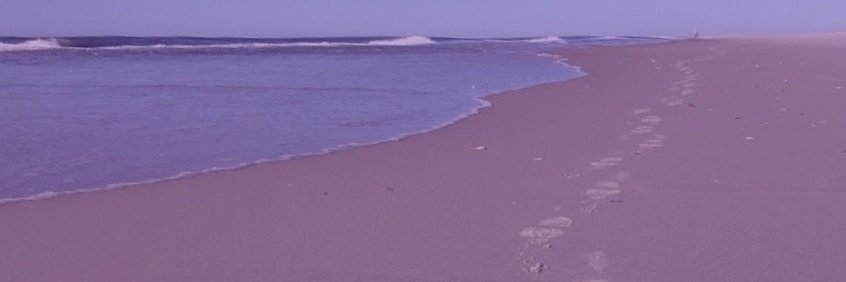 Gjermund Lanestedt banner