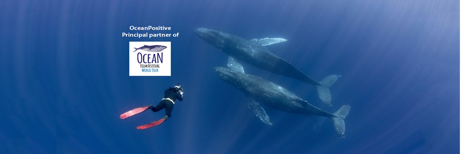 OceanPositiveFE's profile banner image