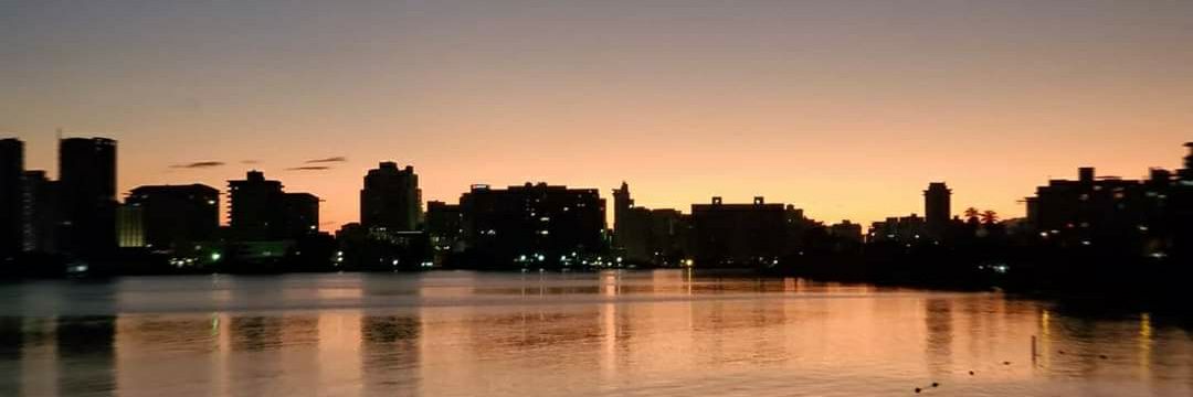 Barbara Frias banner