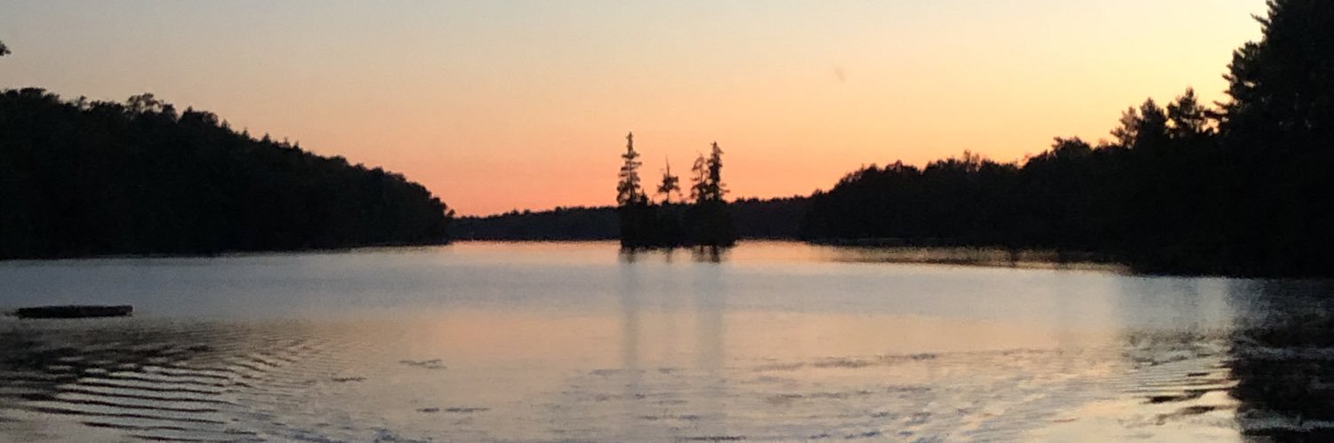 Janine Cocker banner