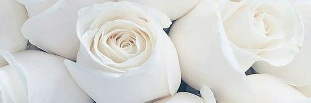 PouchPackages's profile banner image