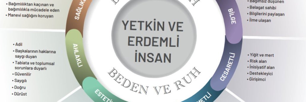 olseeyca banner