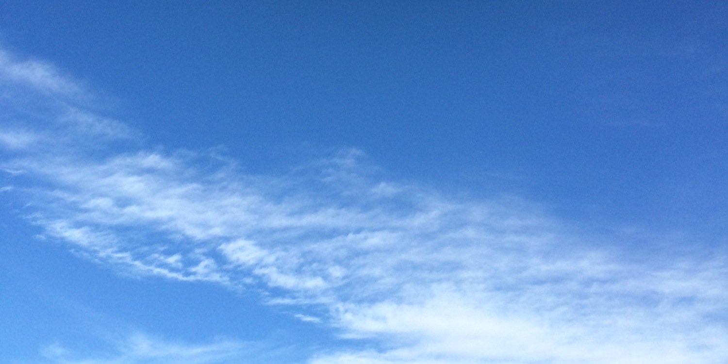 lufesia's profile banner image
