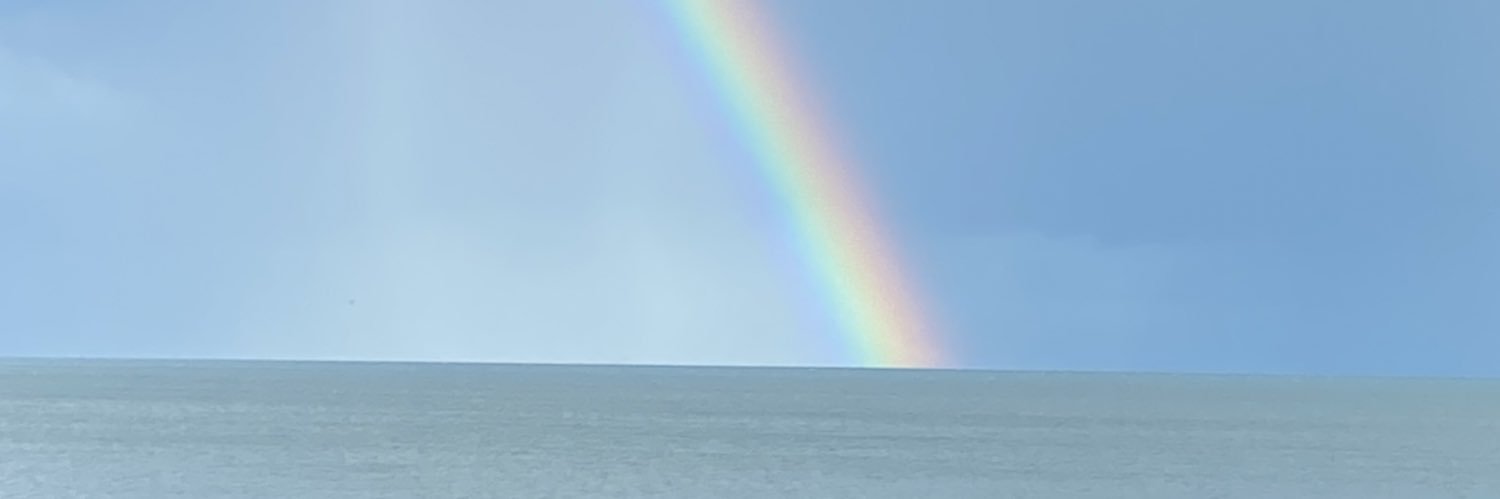 Snugglyduvet's profile banner image