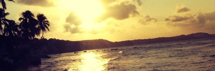 AriViale1's profile banner image
