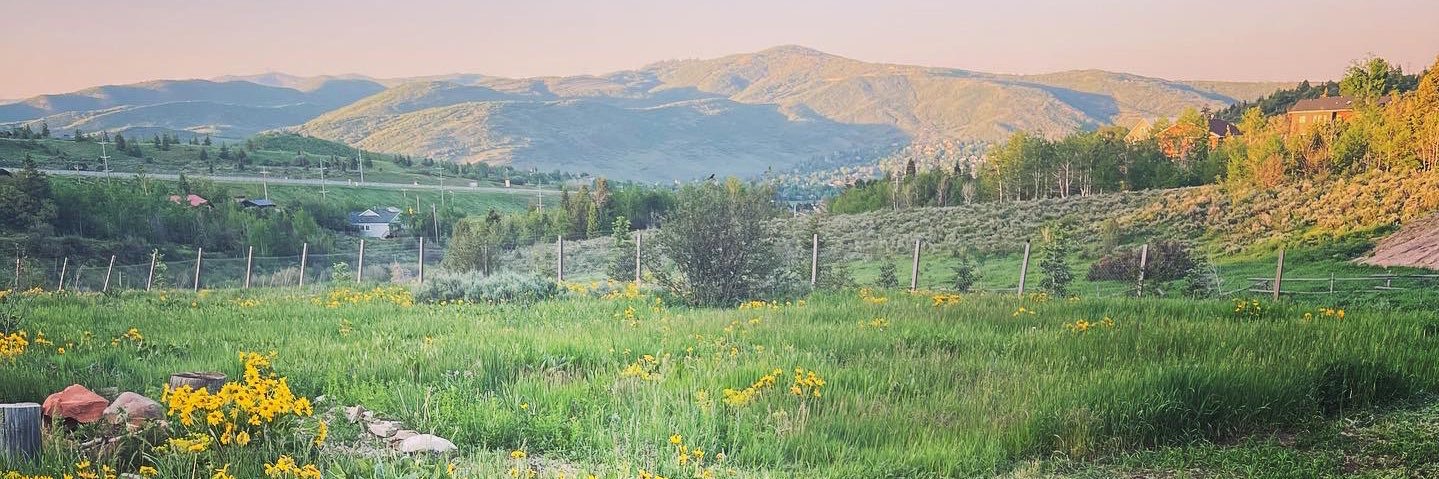 Marni Baker Stein banner