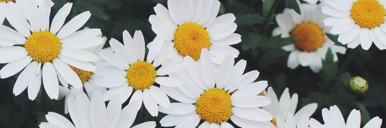 xfdea's profile banner image