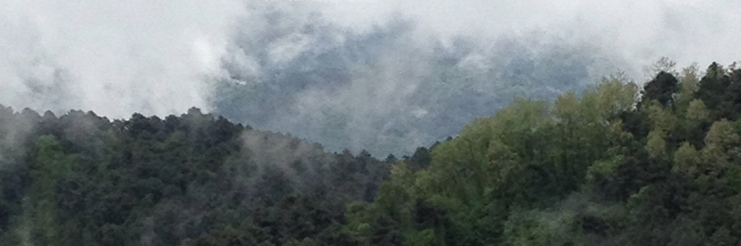 Sam Blunden banner