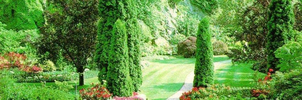 4561_daniel's profile banner image