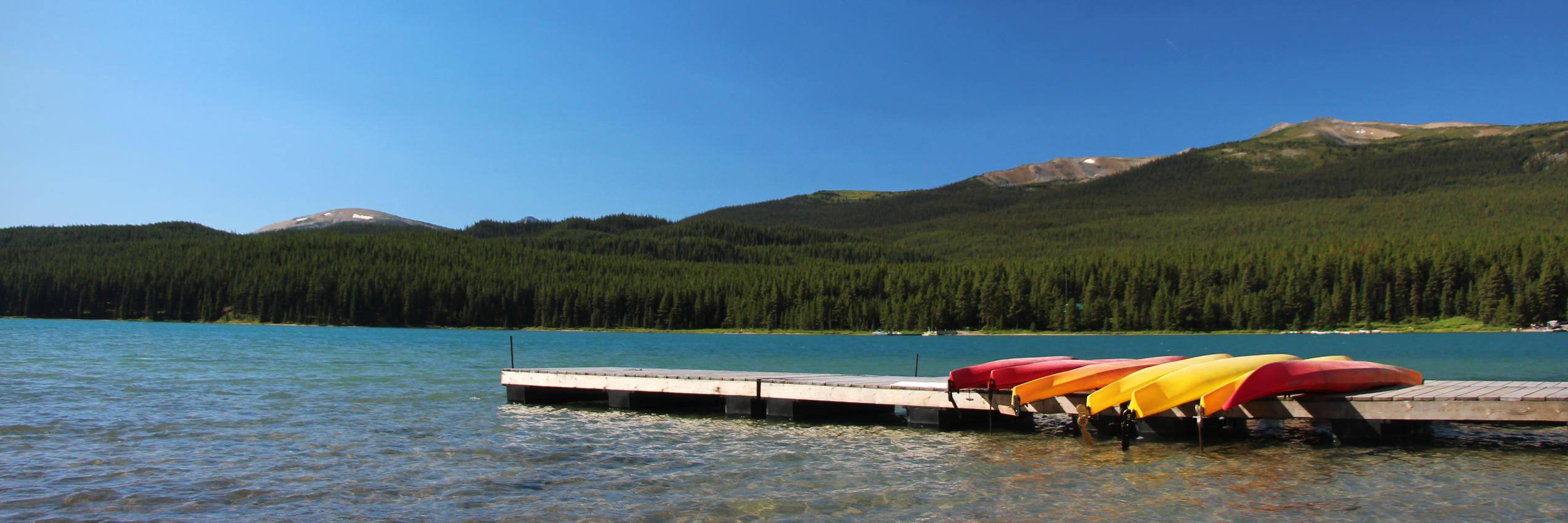 Ellie McIntosh banner