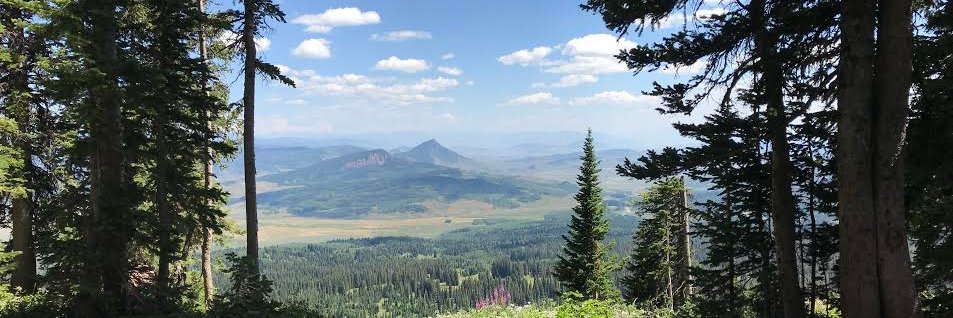 kmoutvic101's profile banner image