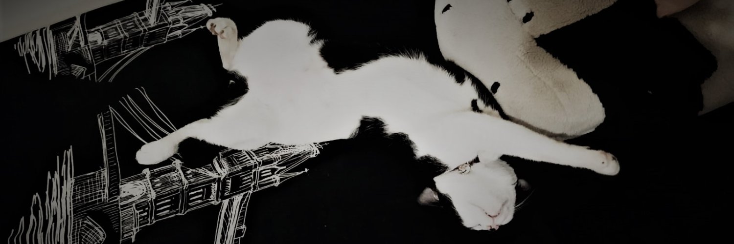 arkeey's profile banner image