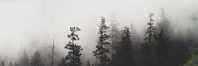 abbyLAAAT's profile banner image