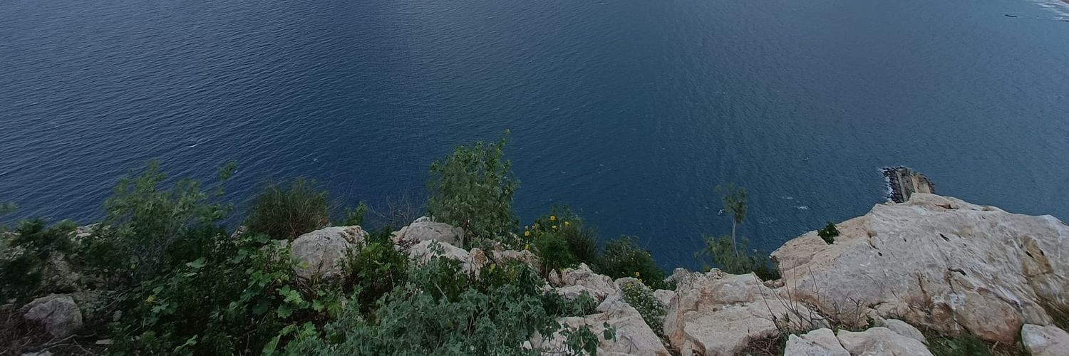neeuss's profile banner image