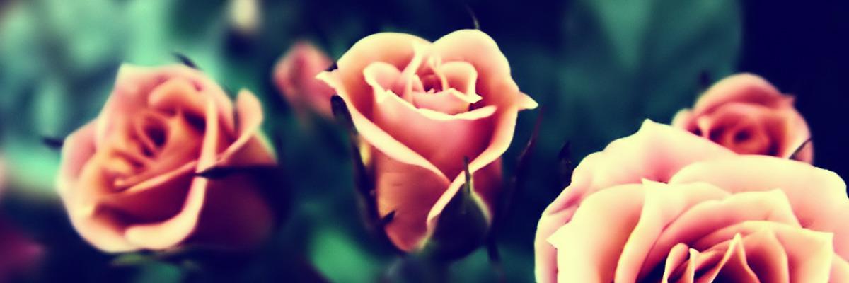 Lcvely_'s profile banner image