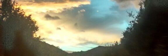 Sam banner