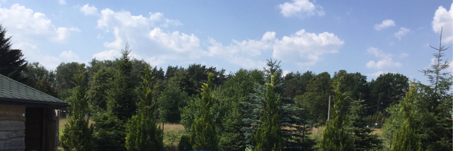 bez kompromisu banner