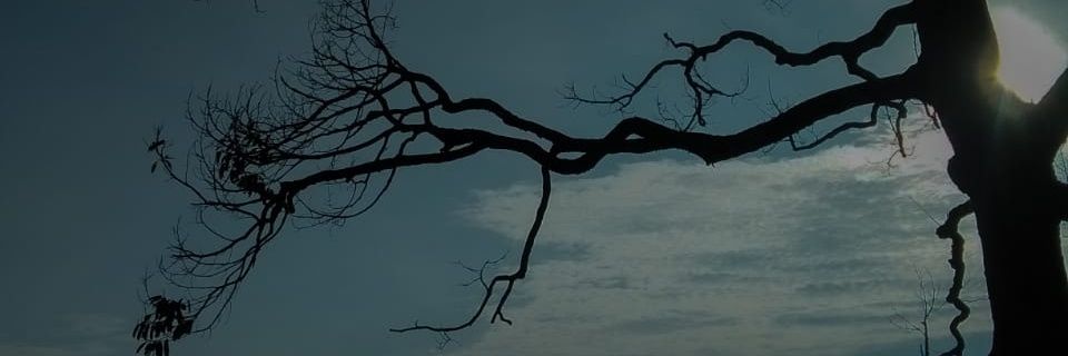 layungdwi's profile banner image