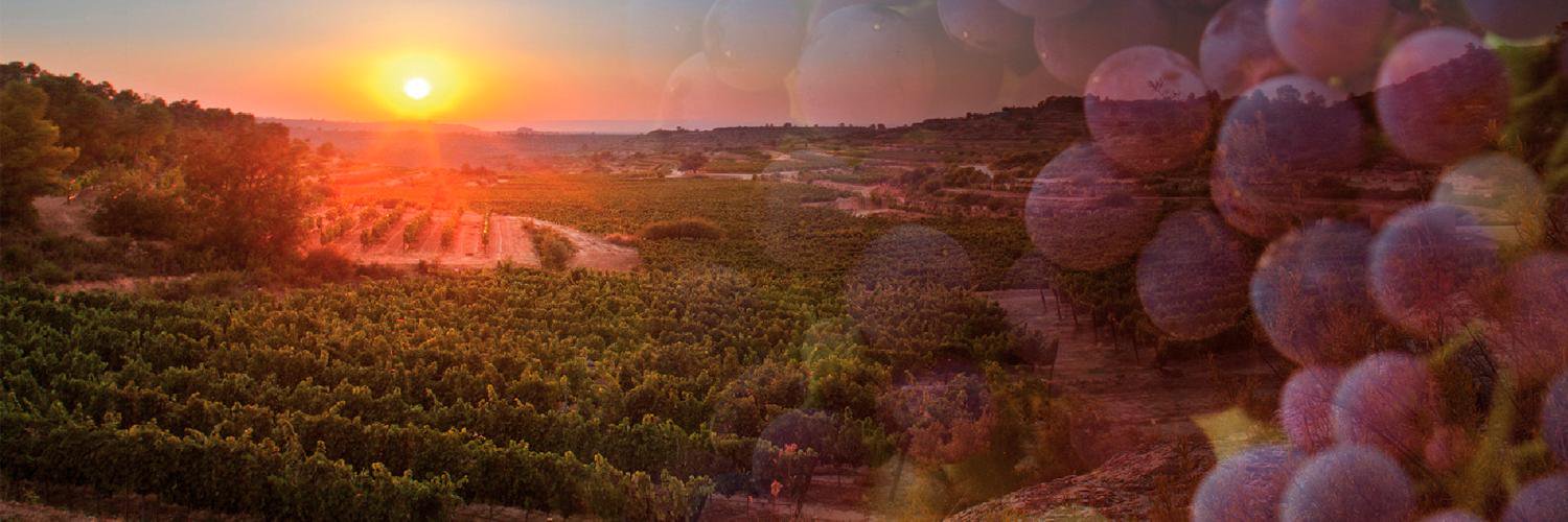 CellerClosPons's profile banner image