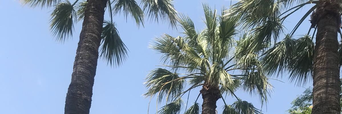 gabrielle_38's profile banner image