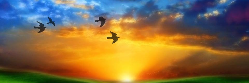 gilbertoafonso's profile banner image