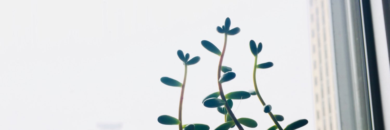 vmcooney's profile banner image