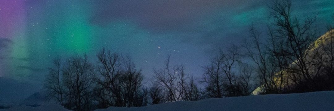 fpbellaa's profile banner image