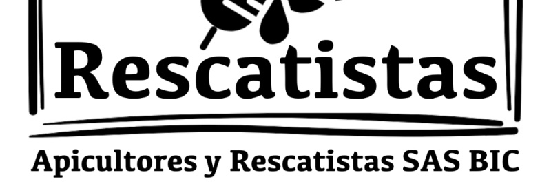 IlanLechter's profile banner image