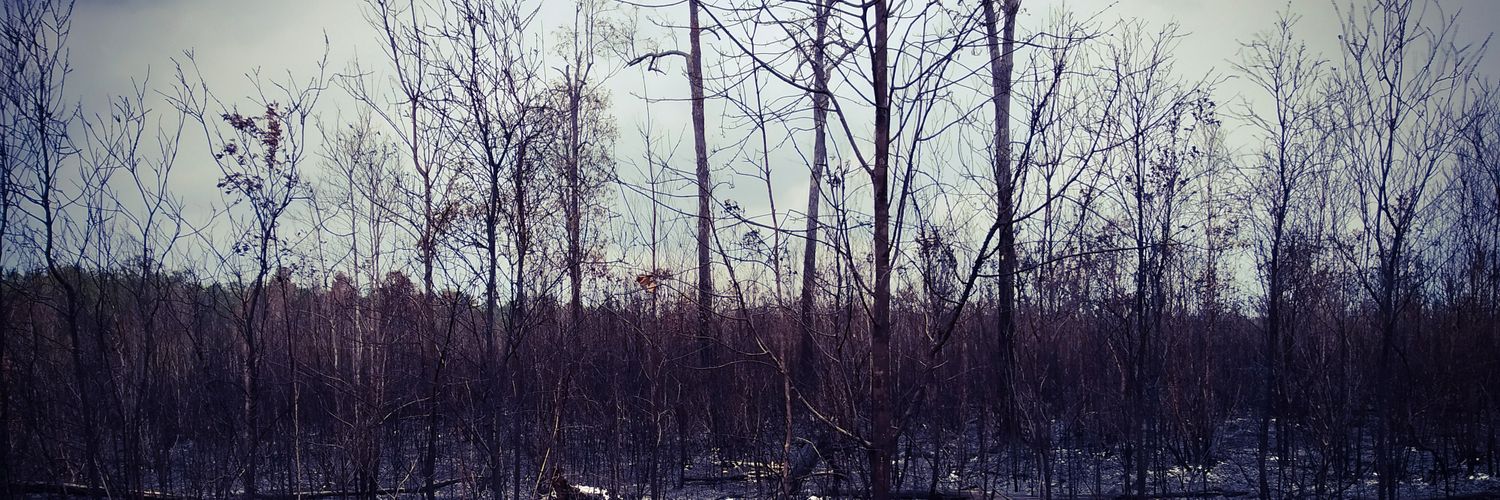 am_baidh's profile banner image