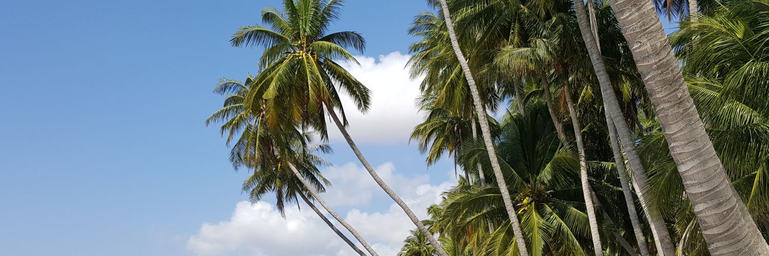 societefair's profile banner image