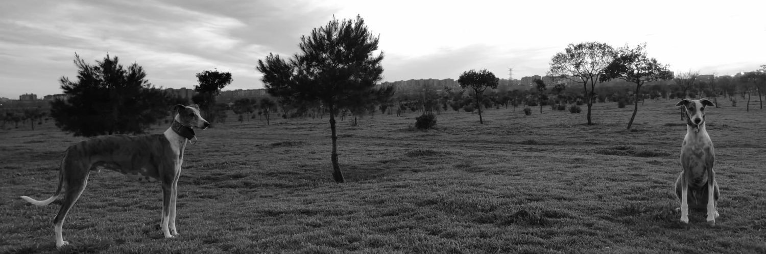 AndreaMartin__'s profile banner image