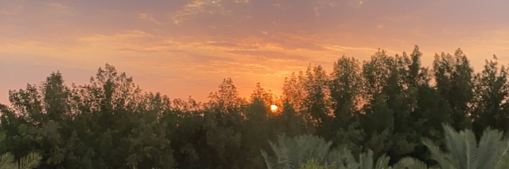 MissRoro_IT's profile banner image