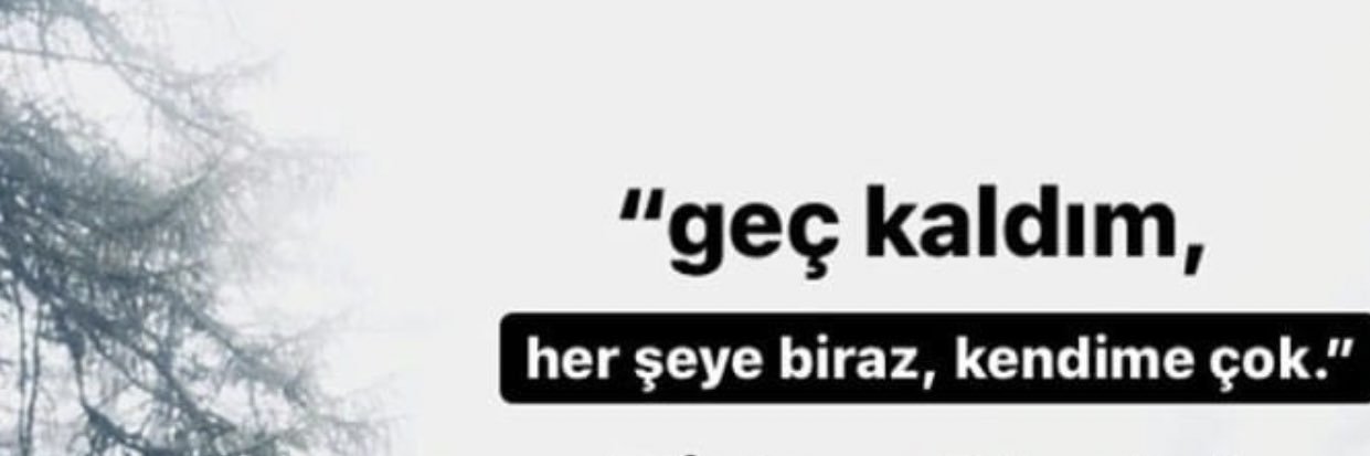 MeteOzkan's profile banner image