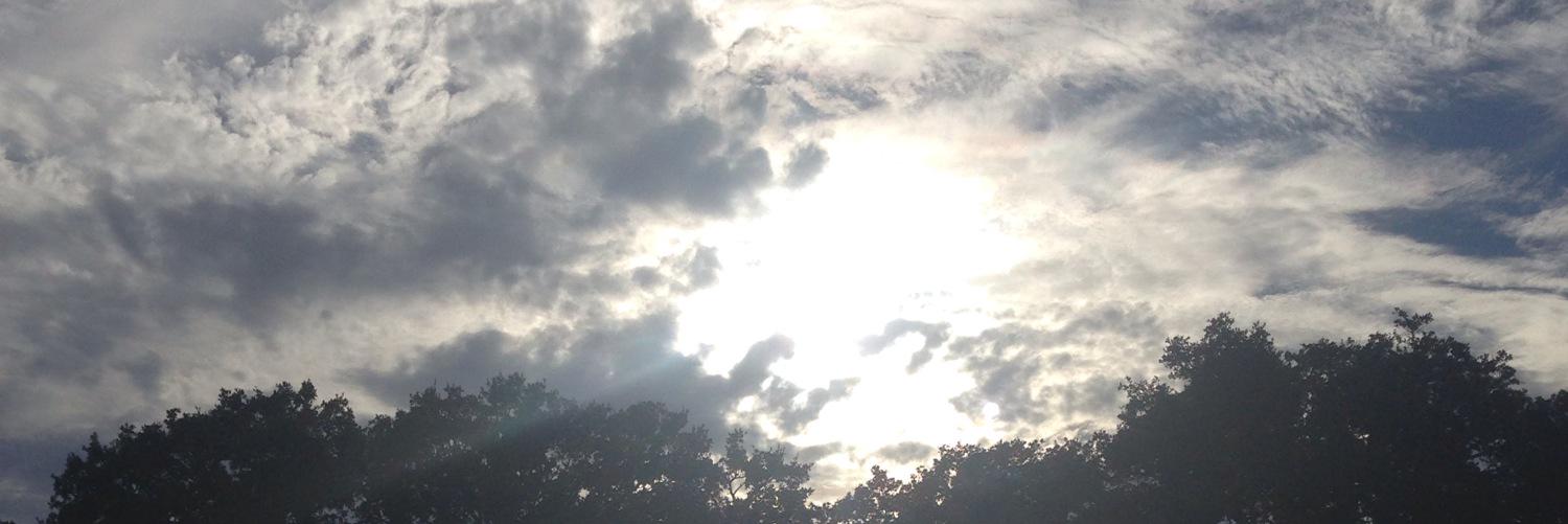 SamEadams3's profile banner image