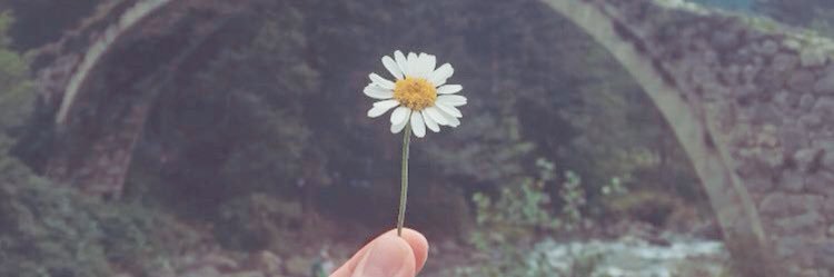 Sule_arch's profile banner image