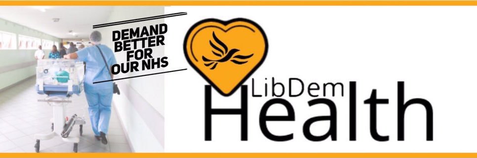 Lib Dem Health and Social Care 🔶 banner