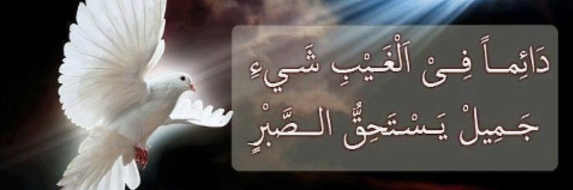 Alwalhan6's profile banner image