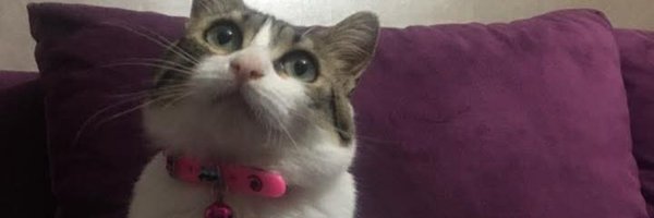 Jeaqueliness Profile Banner