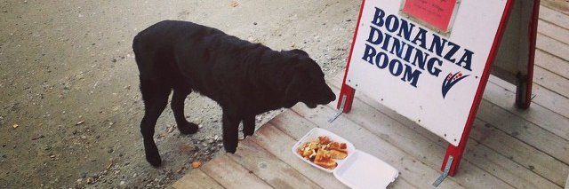 Chris Windeyer banner