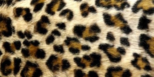dirtyykarr's profile banner image