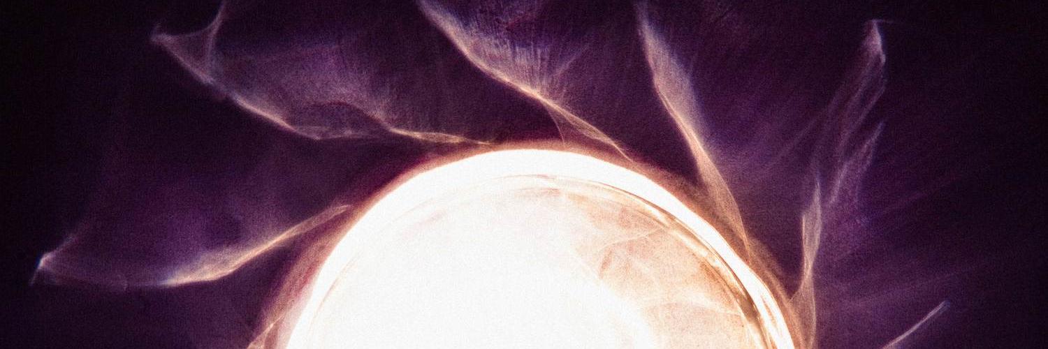lerunchick's profile banner image