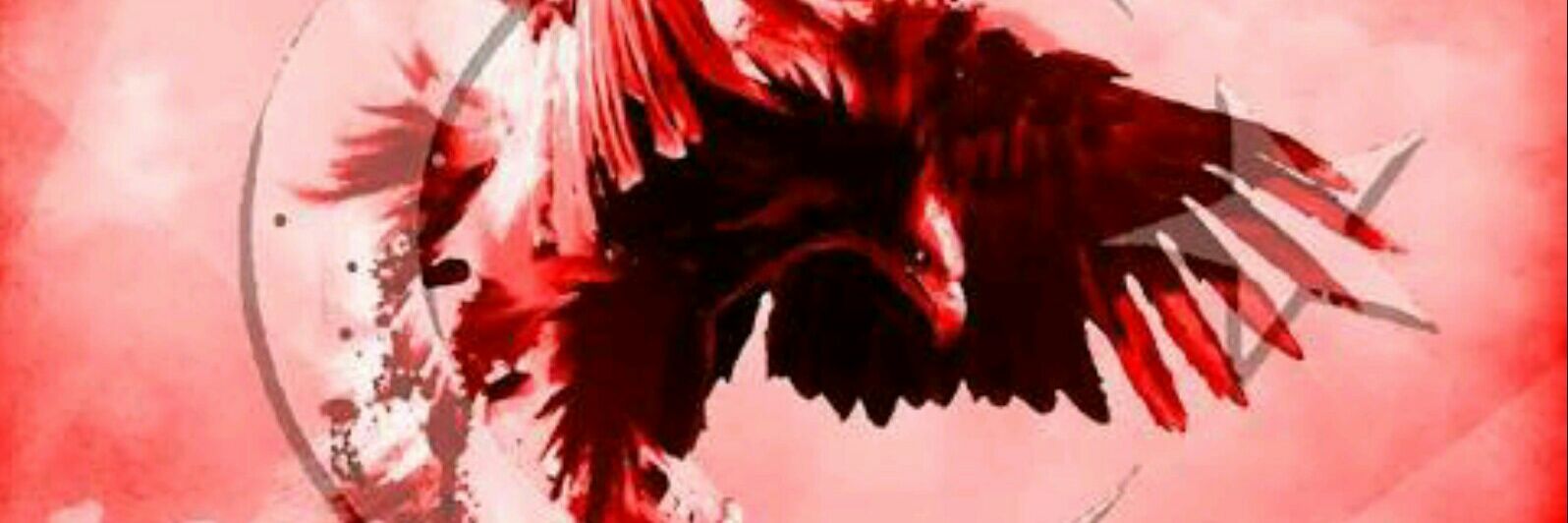 hllctnky's profile banner image