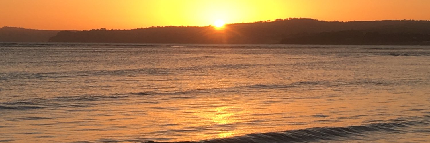 MillsTimothy's profile banner image