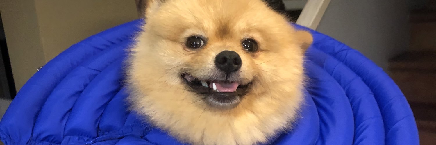 pieamante's profile banner image
