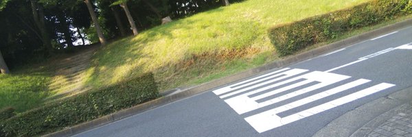 postdoctral Profile Banner