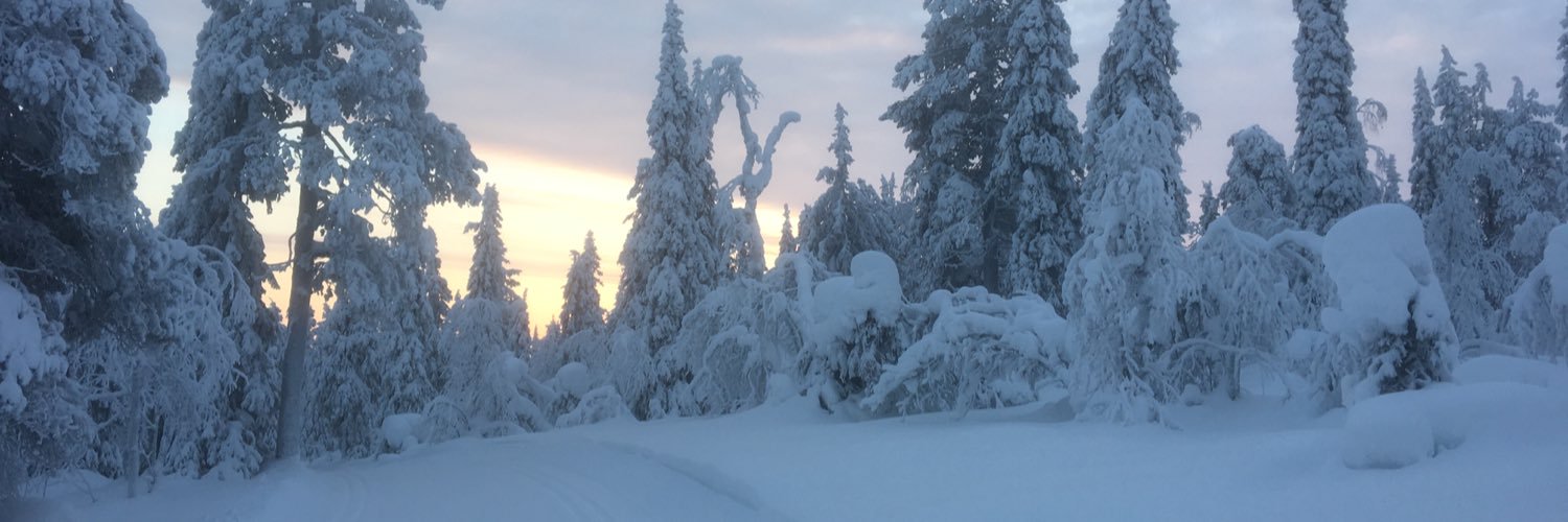 Orava_Janne's profile banner image