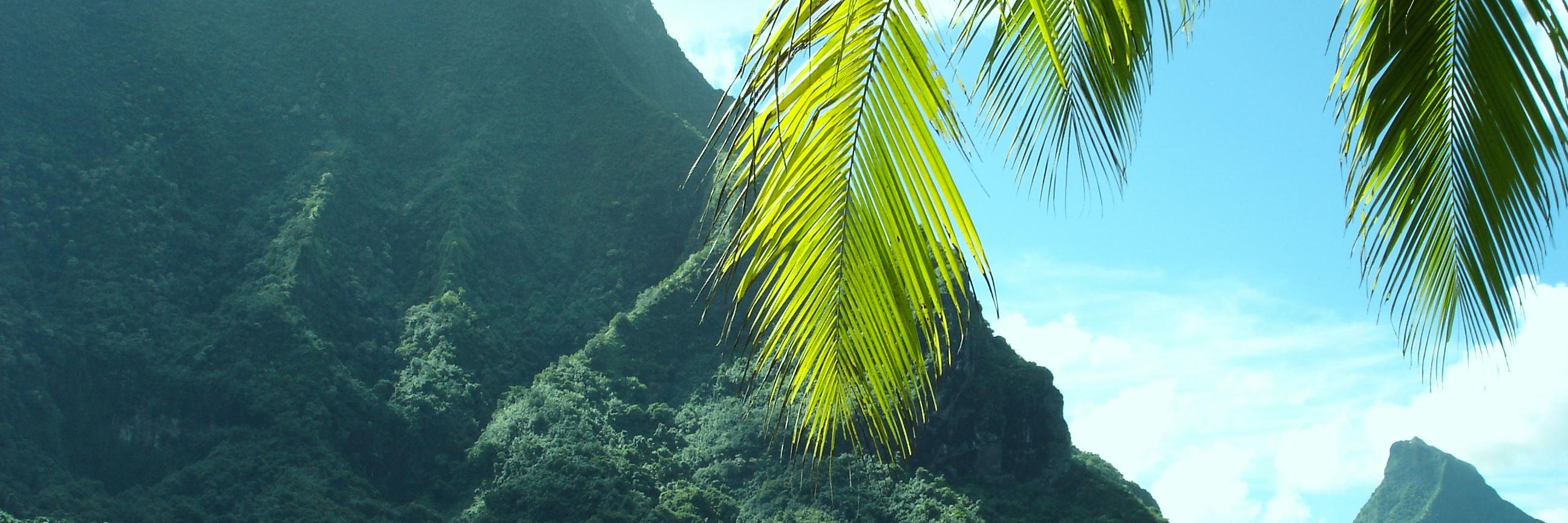 PacificaFest's profile banner image