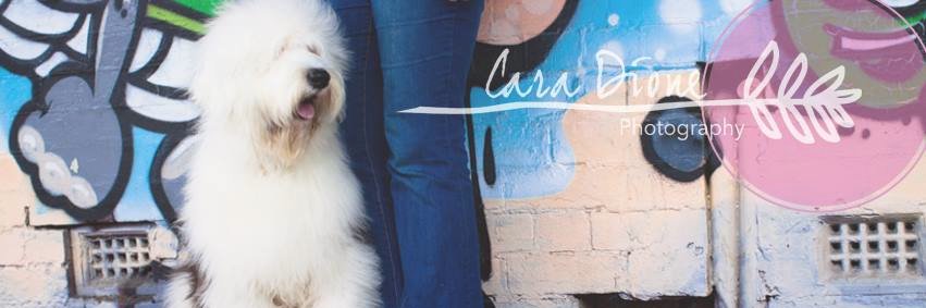 caradione's profile banner image
