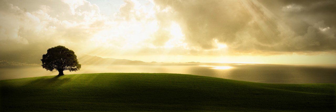 luukverhoeven's profile banner image
