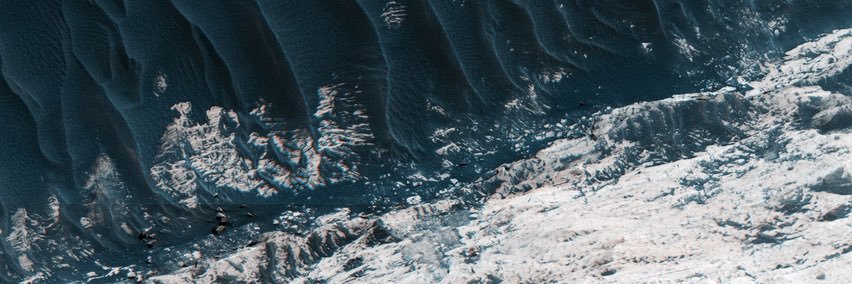 dianeguerta's profile banner image